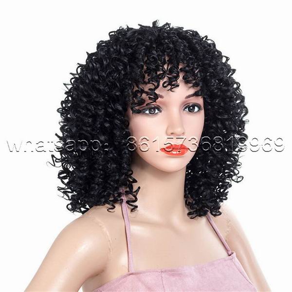 Kinky Curly Wig